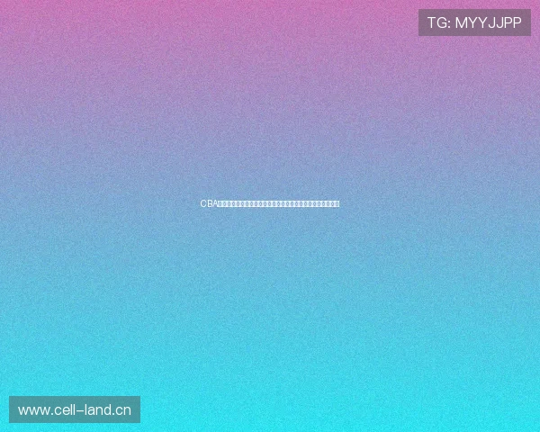 CBA直播回放聚焦广东队精彩对决全场高光瞬间解析赛季深度盘点