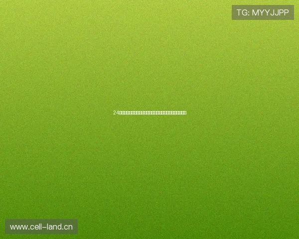 24直播足球网打造全方位高清赛事直播与实时资讯平台服务球迷