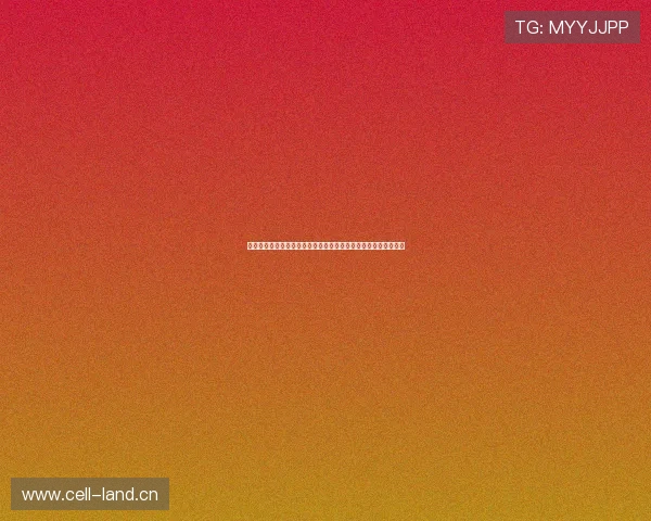 抖音体育直播在线观看免费畅享热门赛事高清实时精彩不间断体验