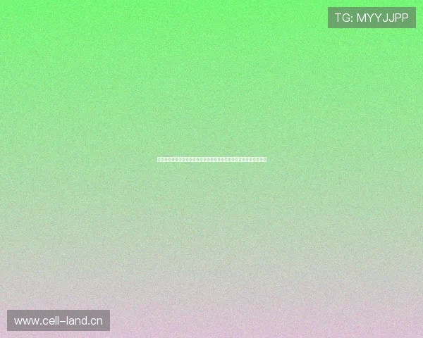 雨燕免费直播打造全网免费体育直播精彩赛事平台实时高清互动体验等