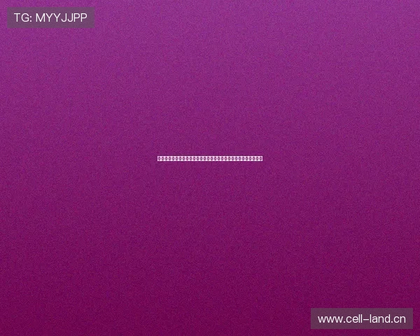 上海五星体育明日精彩赛事直播时间表与重点比赛观赛指南全面速览